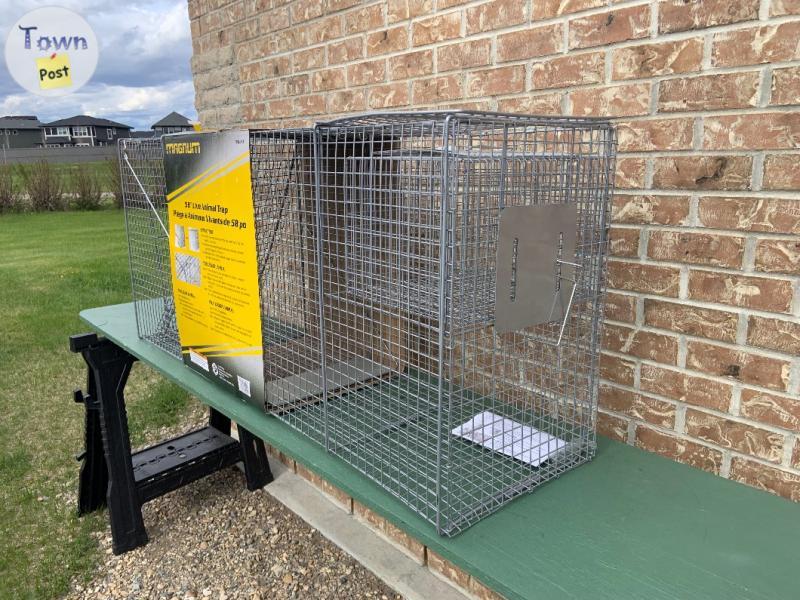 Photo of Live animal trap