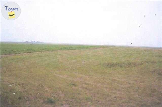 Photo of 66 acres of hay and alfalfa in Brant in Vulcan County 