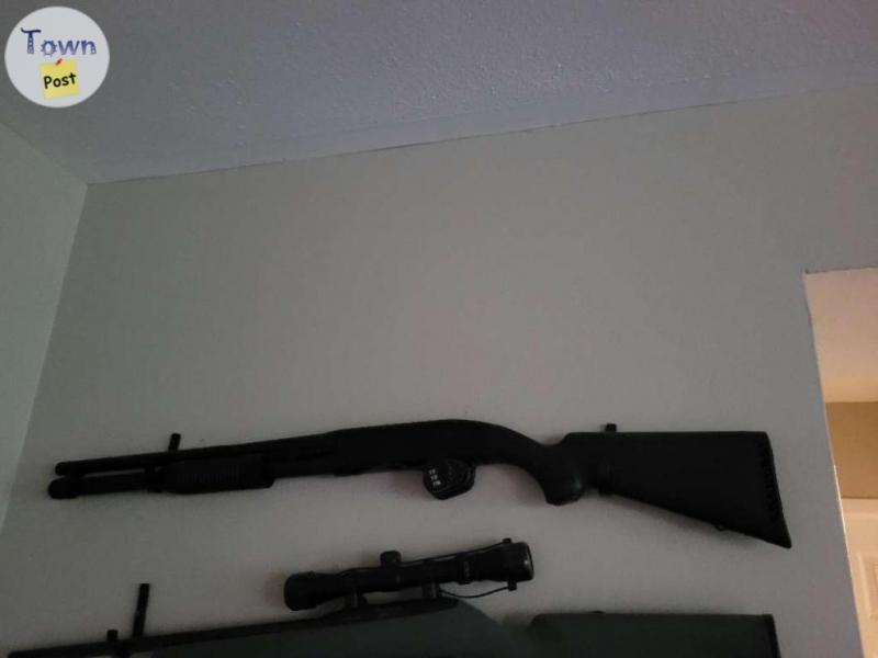 Photo of 20 gage pump shotgun Winchester 