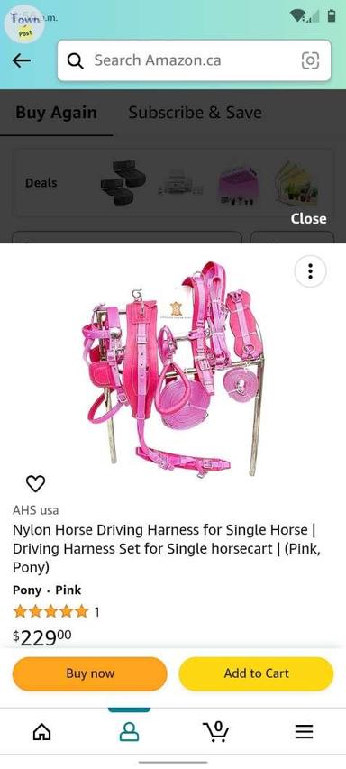 Photo of Pony harness  - 1