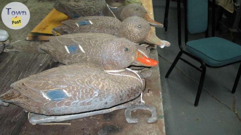 Photo of    13 DUCK  DECOYS  $4.00@ BEST OFFER CONSIDERED