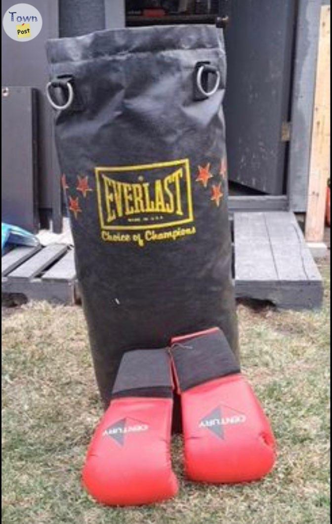 Photo of Everlast punching bag, Grizzly belt and gloves