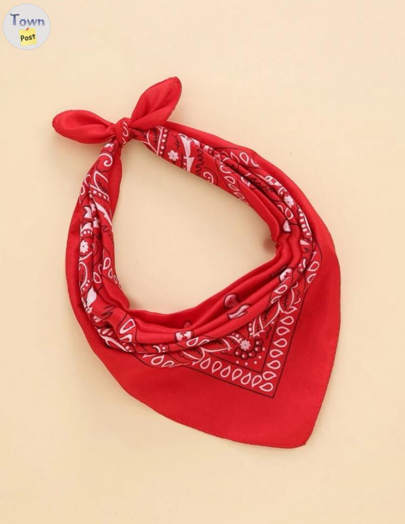 Photo of Stampede Paisley Cowboy scarf 