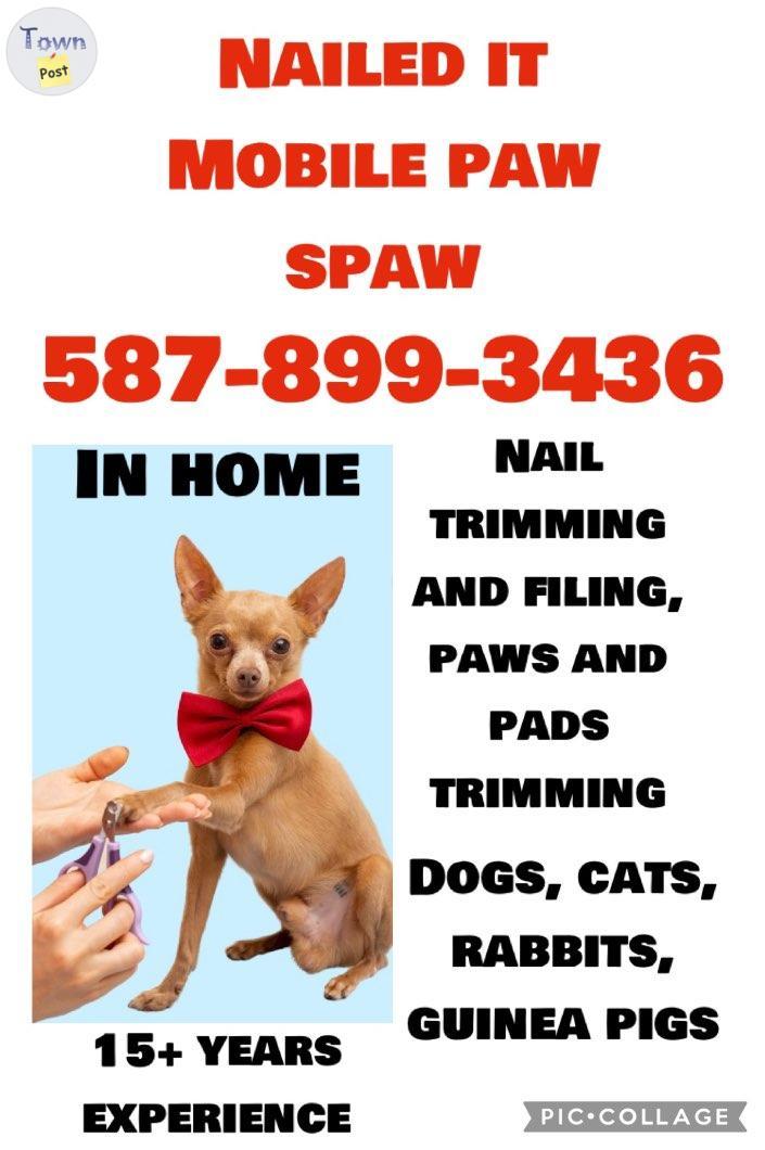 Photo of Nailed it! Mobile paw spaw 