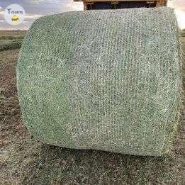 Photo of FOR SALE;  ALFALFA HAY