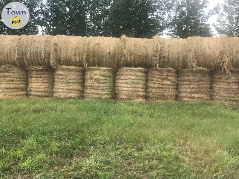 Photo of First Cut Grass Hay Round Bales For Sale