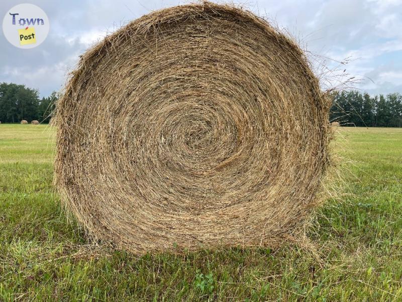 Photo of Hay Bales