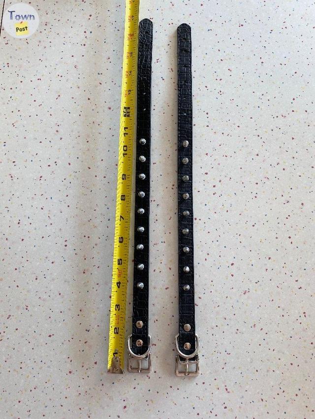 Photo of 2 Spiked dog collars medium 