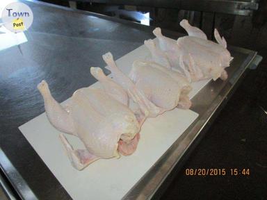 Photo of Farm Fresh Chickens For Sale - 2