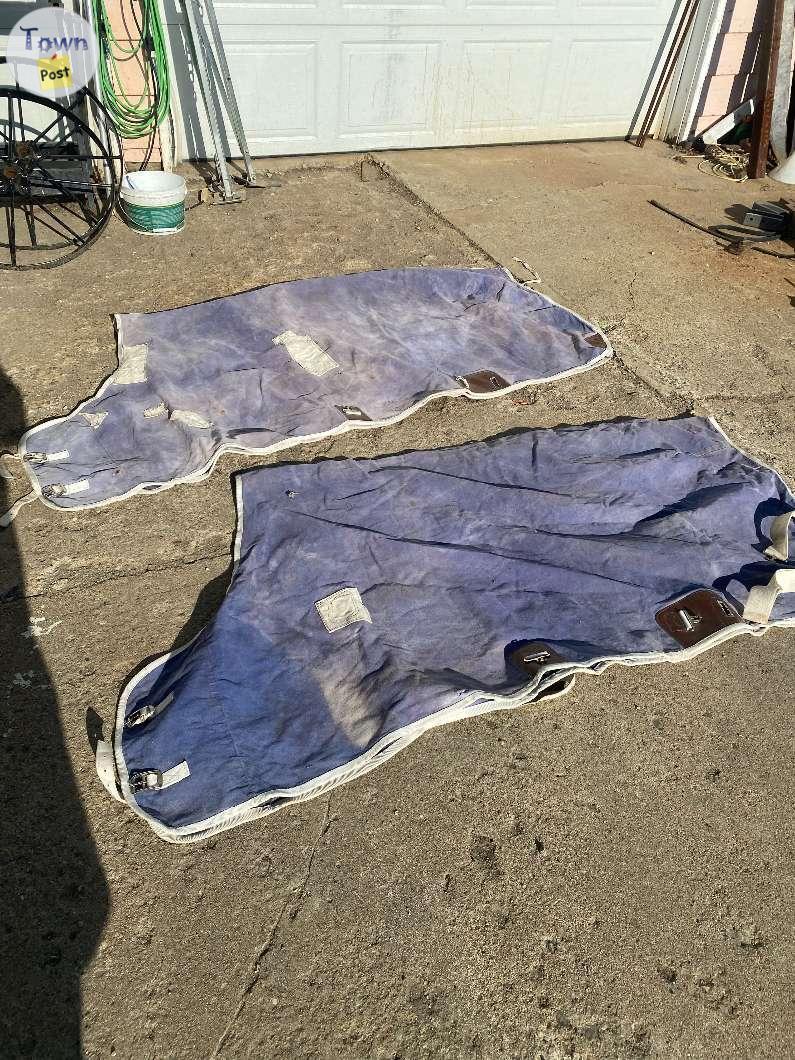 Photo of Horse Blankets