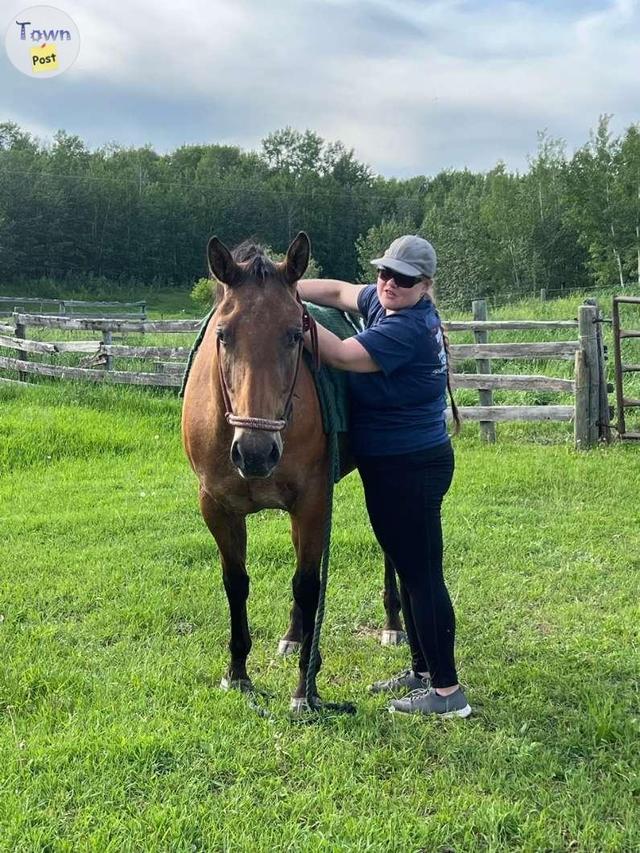 Photo of 2020 Bay Roan Appaloosa