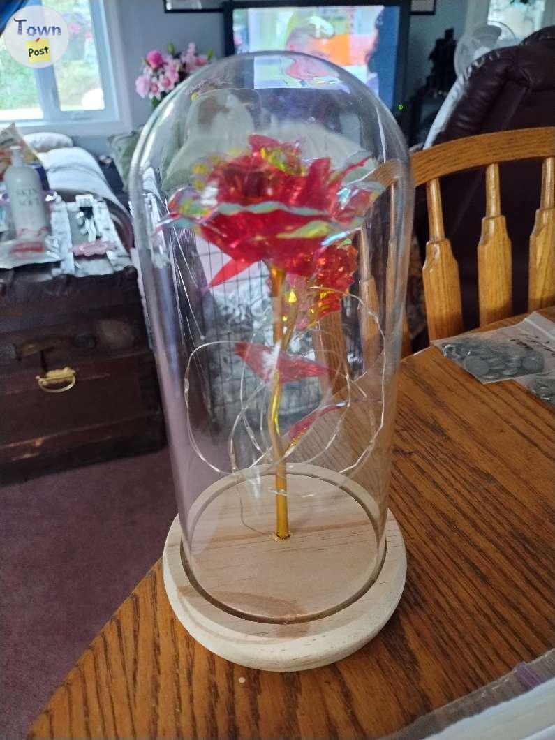 Photo of Beauty and the Beast light up Rose 