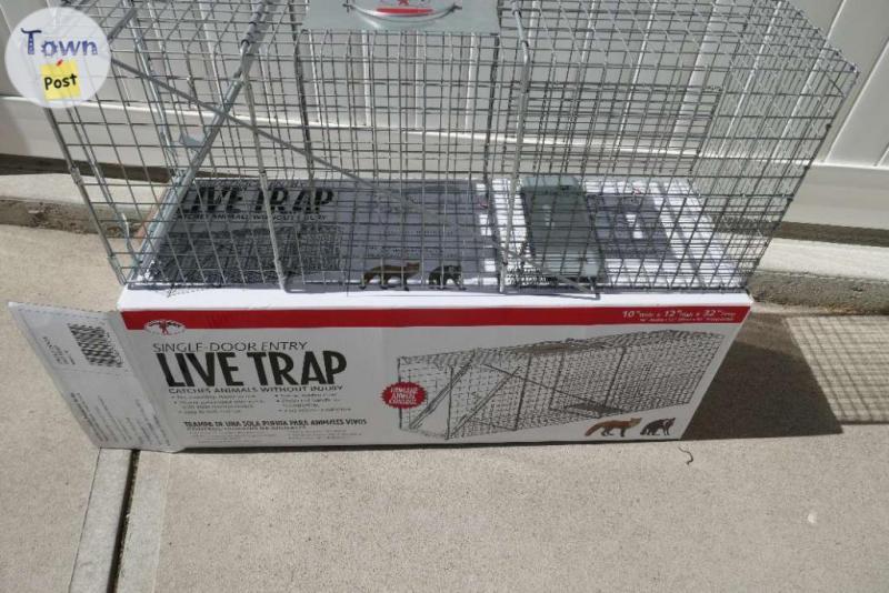 Photo of Little Giant Live Trap