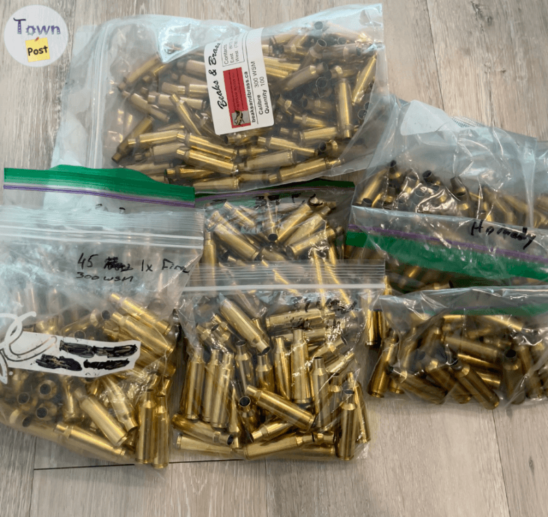 Photo of 300 WSM Brass (330 total)