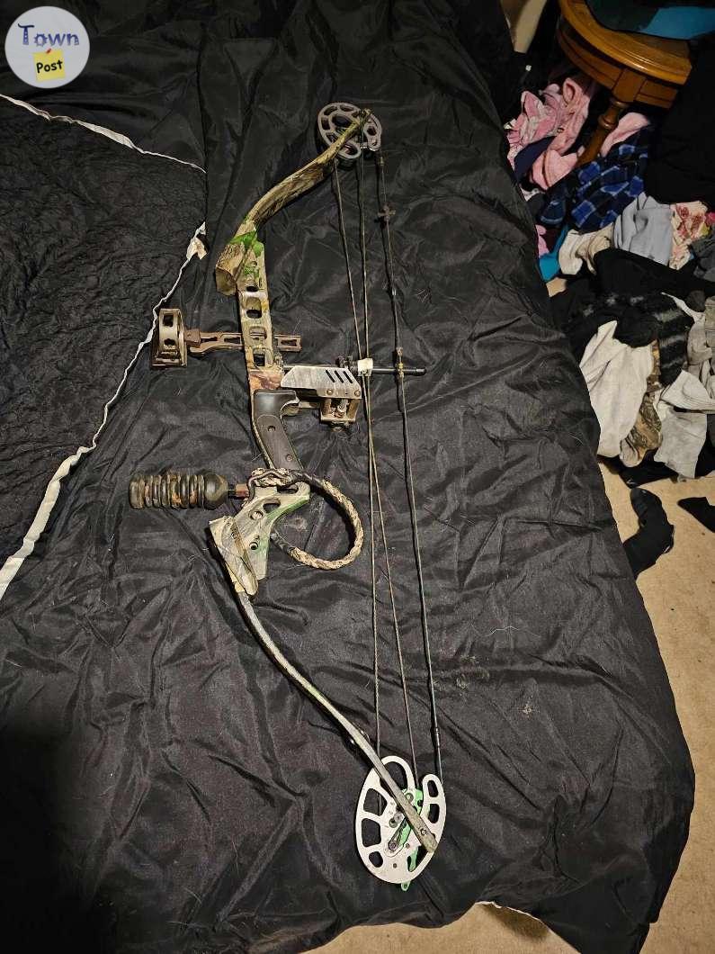 Photo of Carton compound bow