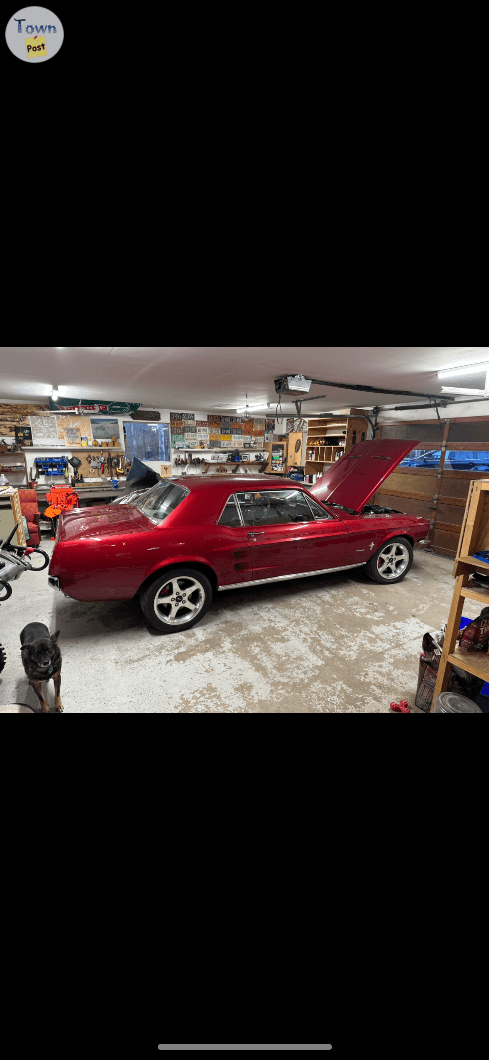 Photo of 1967 ford mustang 