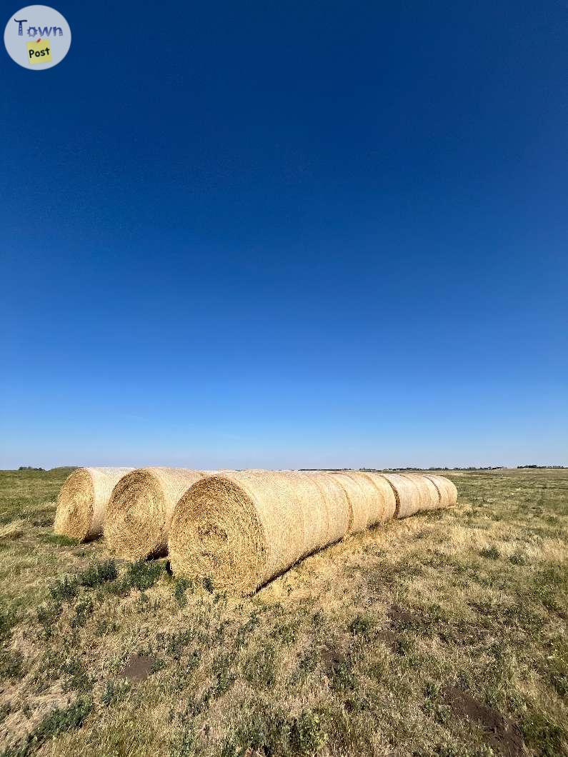 Photo of Hay For Sale