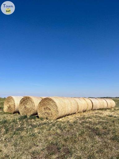 Photo of Hay For Sale - 2