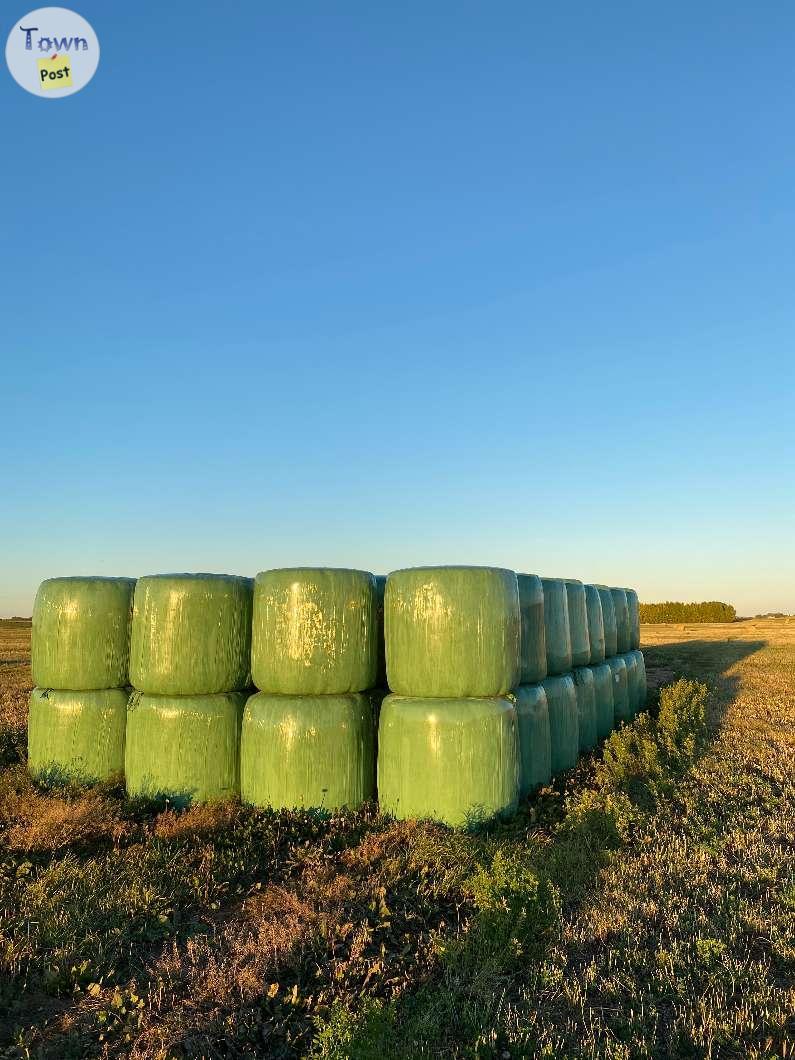 Photo of Hay For Sale