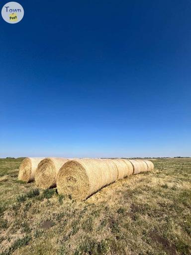 Photo of Hay For Sale - 1