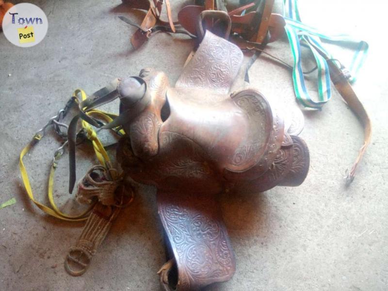 Photo of Saw buck saddle