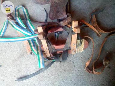 Photo of Saw buck saddle - 2