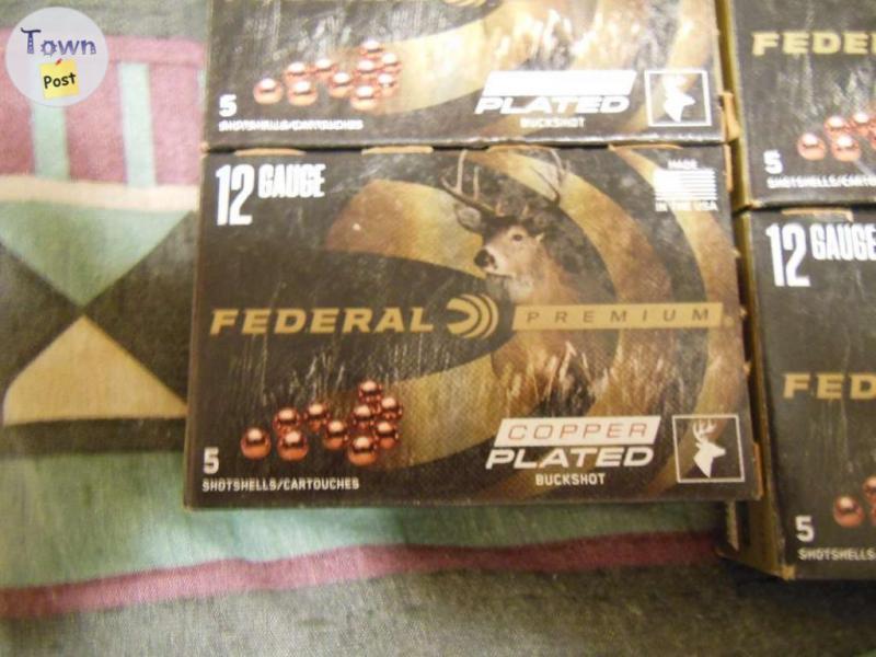 Photo of 12 gauge ammo