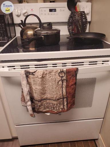 Photo of 2023 FRIDGEDAIRE ELECTRIC STOVE - 1