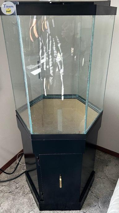 Photo of 30 GALLON HEXAGON AQUARIUM WITH STAND--Reduced Price--$450 - 1