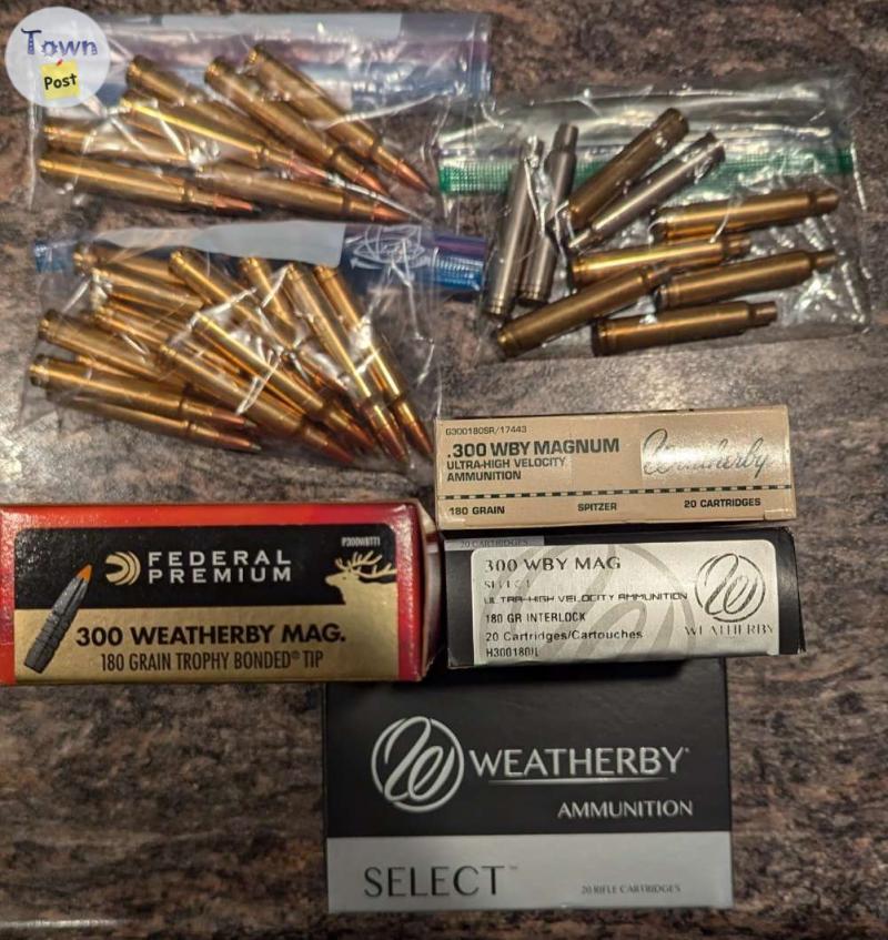 Photo of 300 Weatherby Ammo