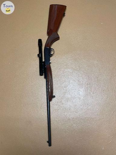 Photo of  Norinco JW20 Takedown .22LR 19" Blued Wood - 1