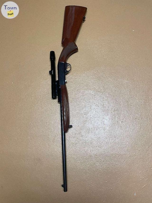 Photo of  Norinco JW20 Takedown .22LR 19" Blued Wood