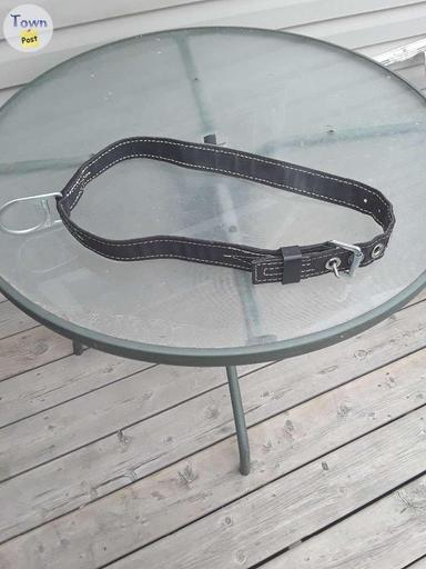 Photo of New safety belt - 1