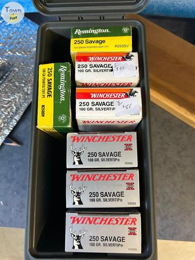 Photo of 250 Savage 100 GR  - 1