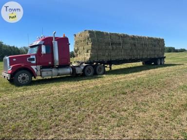 Photo of Square hay straw - 1