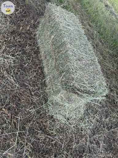 Photo of Square hay bales  - 1