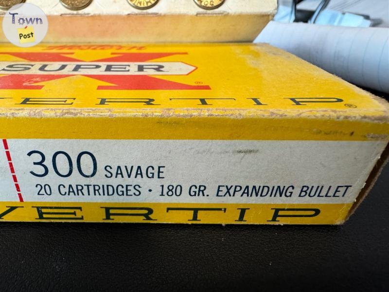 Photo of 300 savage ammo