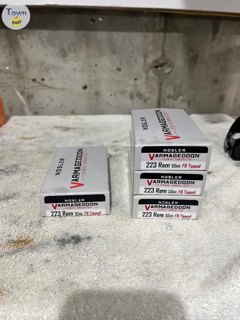 Photo of Nosler Varmageddon 55gr .223