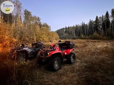 Photo of 2016 Yamaha Kodiak 700 - 2