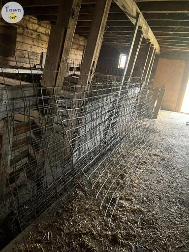 Photo of Cattle / Hog Panel and Concrete Wire Mesh - 2