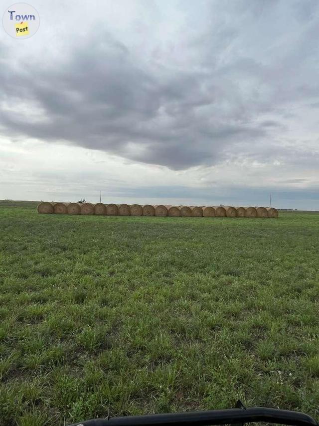 Photo of 2024 Hay