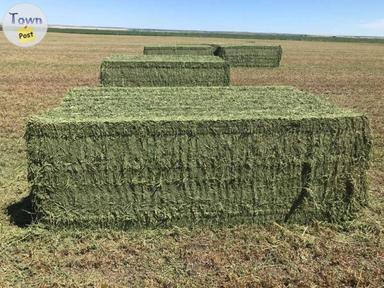 Photo of Hay for Sale - 2