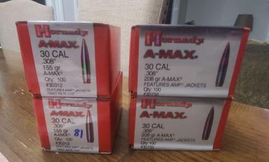 Photo of 308 brass, 155gr amax, 208gr amax - 2