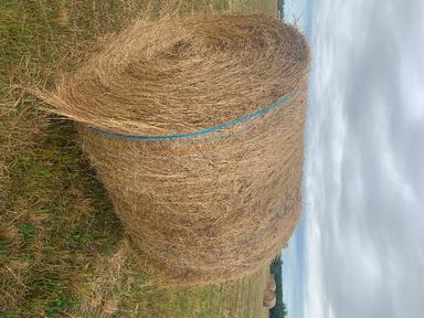 Photo of Hay for sale - 1