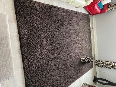 Photo of Area rug - 1