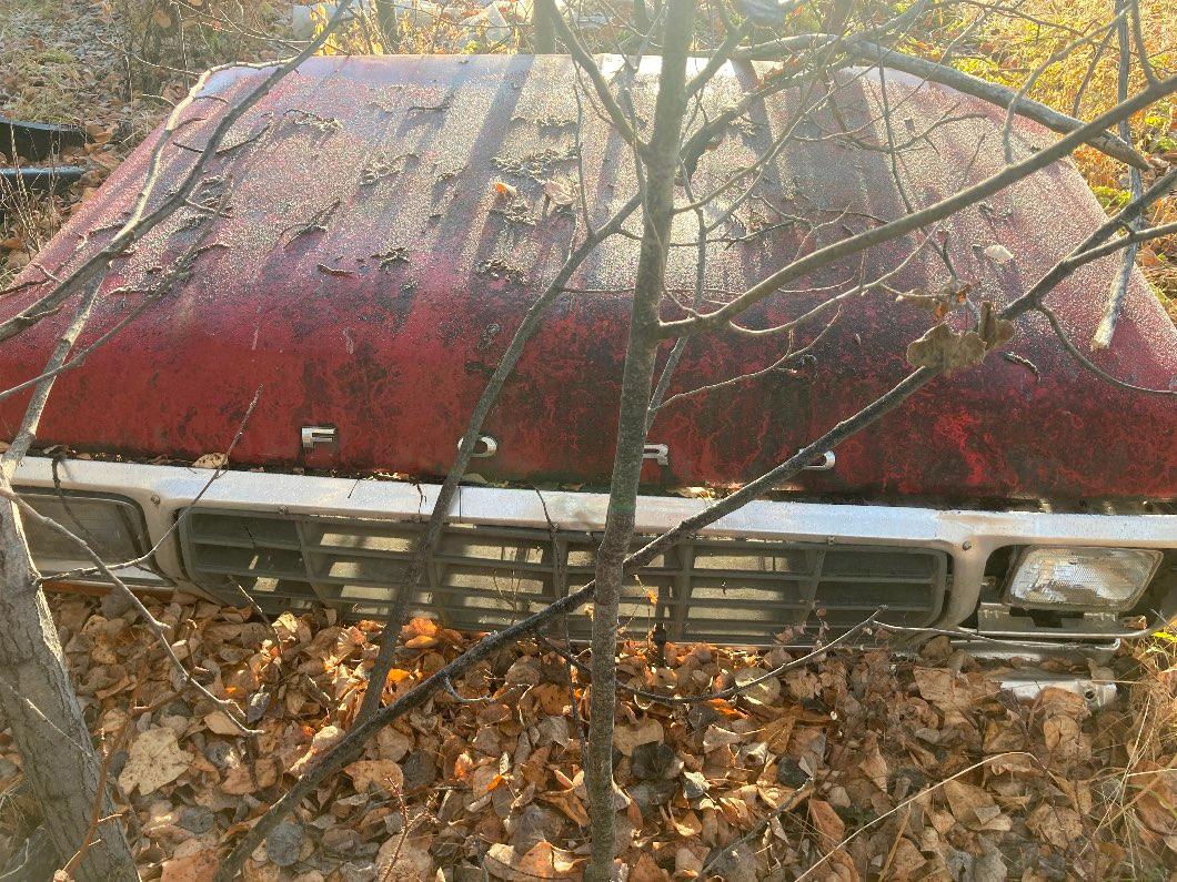 Photo of 1979 Ford front clip