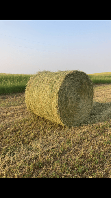 Photo of 5 second cut alfalfa bales 150 .00  - 1