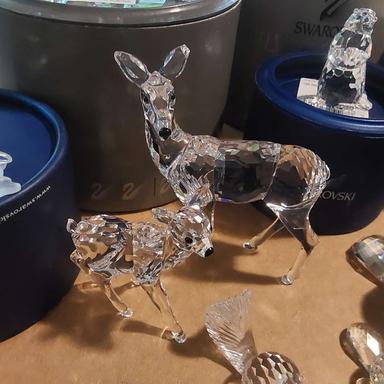 Photo of Swarovski, deer, fawn, school of fish, bunny, anteater, marmot, pig & more - 2