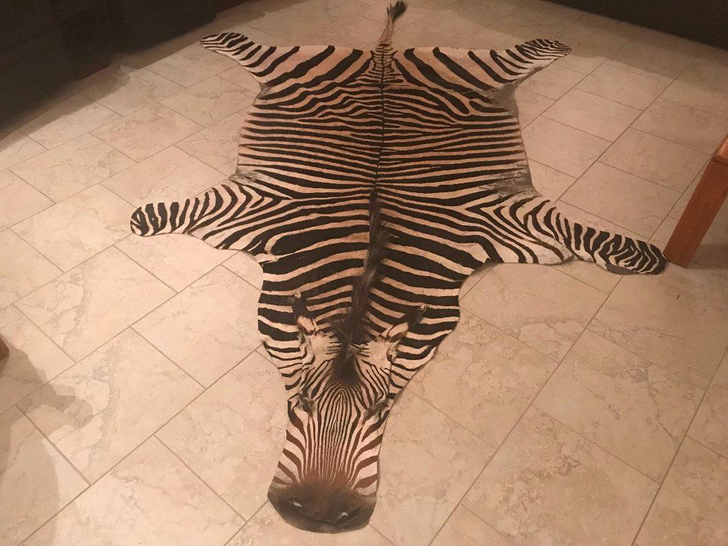 Photo of Zebra Hide